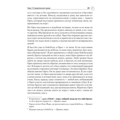 Почему собаки гораздо умнее, чем вы думаете