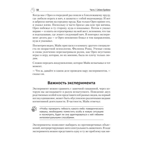 Почему собаки гораздо умнее, чем вы думаете