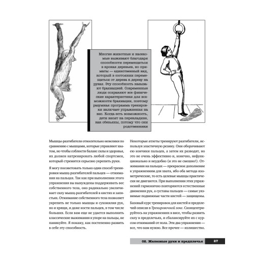 Тренировочная зона 2. Продвинутые техники физических тренировок