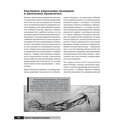 Тренировочная зона 2. Продвинутые техники физических тренировок