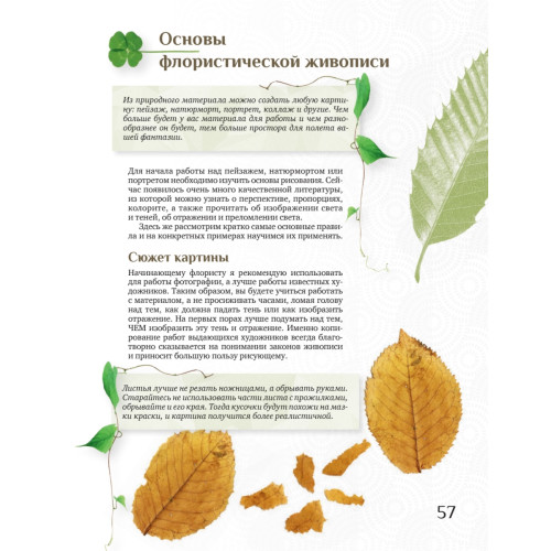Флористическая живопись. Картины из цветов и листьев своими руками