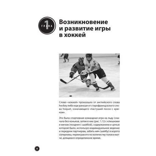 Хоккей для начинающих. Уроки профессионала