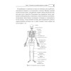 Лечение и чистка суставов. Классические и нетрадиционные методы