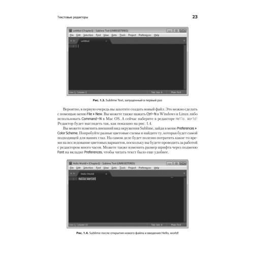 Основы разработки веб-приложений