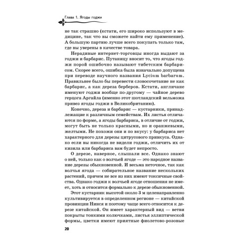 Ягоды годжи, семена чиа и зерна киноа для оздоровления и похудения