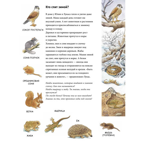 Зима. Находилки-развивалки 2+