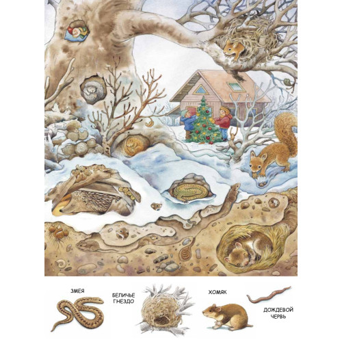 Зима. Находилки-развивалки 2+