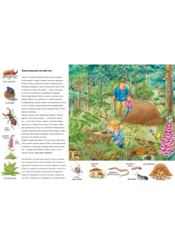 Лето. Находилки-развивалки 2+