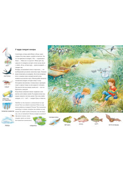 Лето. Находилки-развивалки 2+