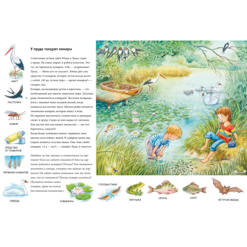 Лето. Находилки-развивалки 2+