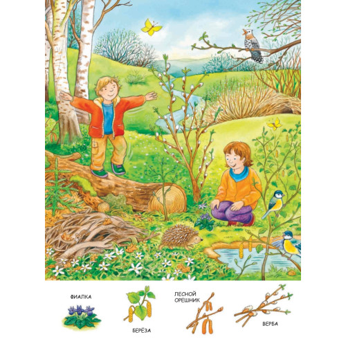 Весна. Находилки-развивалки 2+