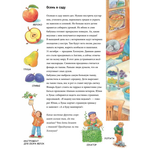 Осень. Находилки-развивалки 2+