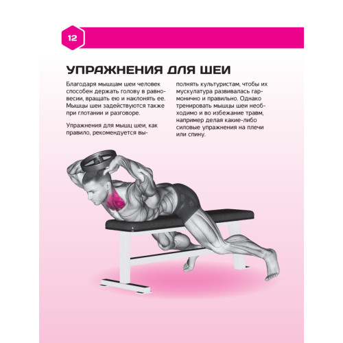 Конструктор тела. Силовые и фитнес-тренировки