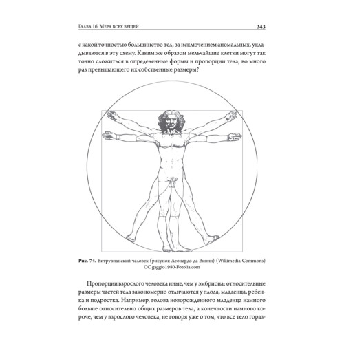 Онтогенез. От клетки до человека
