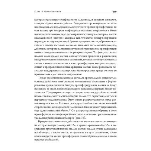 Онтогенез. От клетки до человека