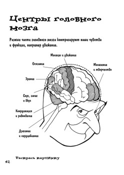 Почему мы дышим, едим и растём. Игры, опыты, эксперименты и невероятные факты