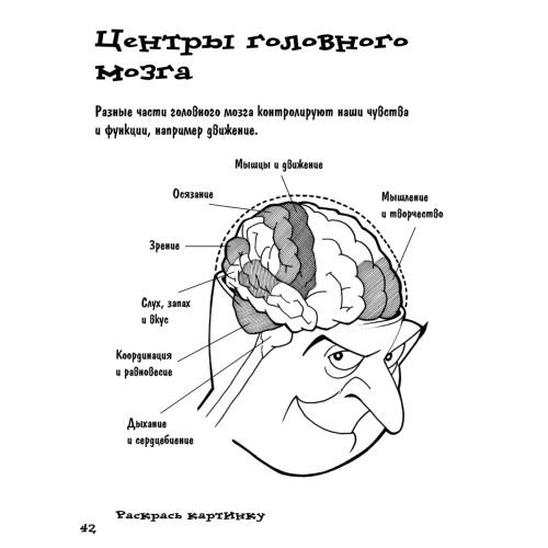 Почему мы дышим, едим и растём. Игры, опыты, эксперименты и невероятные факты