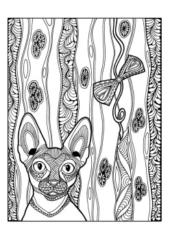 Раскраска-зендудл. Кототерапия