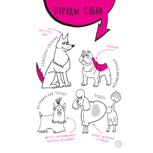 Скетчбук для тех, кто любит собак