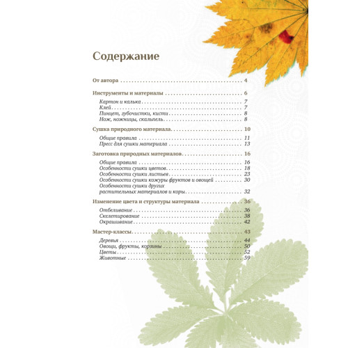 Картины из цветов и листьев своими руками