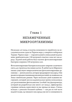 Двигатели жизни: как бактерии сделали наш мир обитаемым