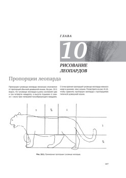 Рисуем кошек простым карандашом