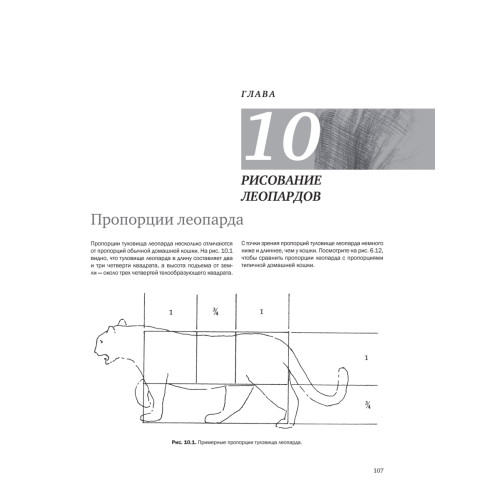 Рисуем кошек простым карандашом