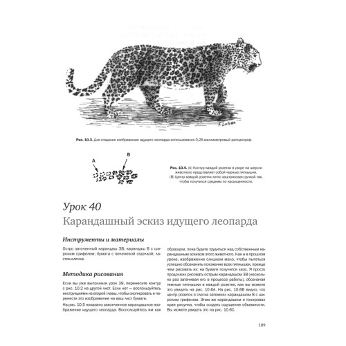 Рисуем кошек простым карандашом