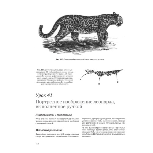 Рисуем кошек простым карандашом