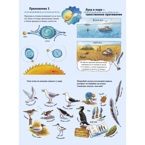 На море. Находилки-развивалки 4+