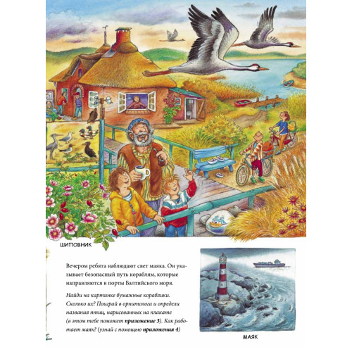На море. Находилки-развивалки 4+