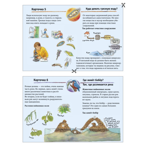 На реке. Находилки-развивалки 4+