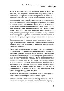 Очищение печени и почек