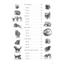 Пошаговые уроки рисования. Рисуем кошек и собак