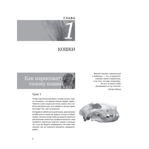 Пошаговые уроки рисования. Рисуем кошек и собак