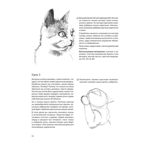 Пошаговые уроки рисования. Рисуем кошек и собак