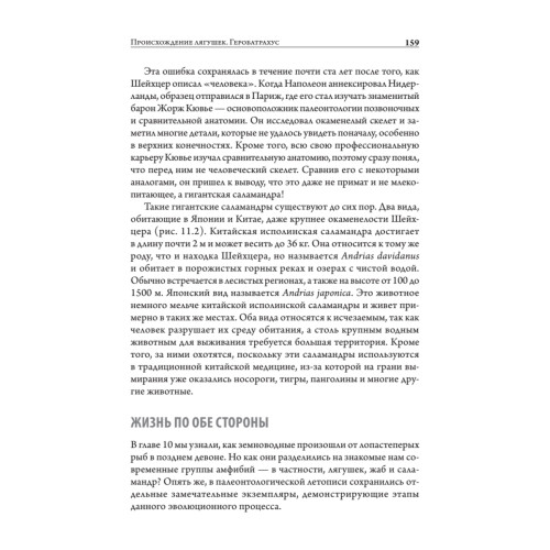 Отпечатки жизни. 25 шагов эволюции и вся история планеты