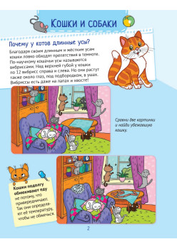 Почему кошки не дружат с собаками? 100 интересных фактов о домашних животных