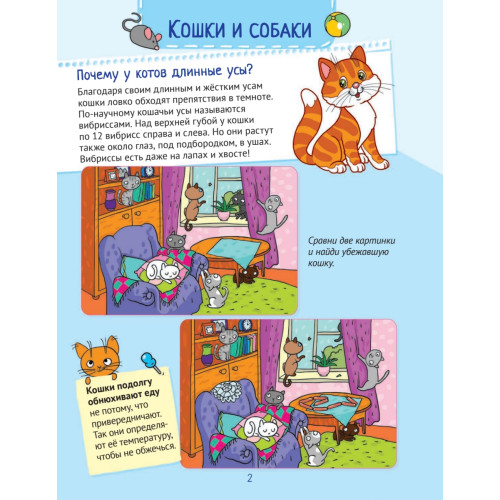 Почему кошки не дружат с собаками? 100 интересных фактов о домашних животных