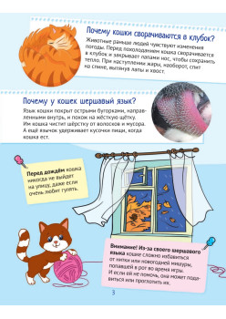 Почему кошки не дружат с собаками? 100 интересных фактов о домашних животных