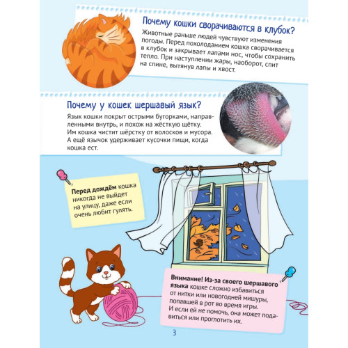 Почему кошки не дружат с собаками? 100 интересных фактов о домашних животных