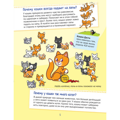 Почему кошки не дружат с собаками? 100 интересных фактов о домашних животных