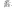 Арт-блокнот. Цветокототерапия