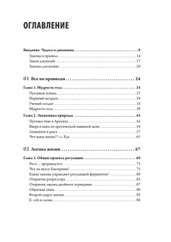 Закон "джунглей". В поисках формулы жизни