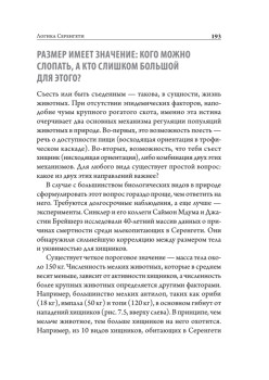 Закон "джунглей". В поисках формулы жизни