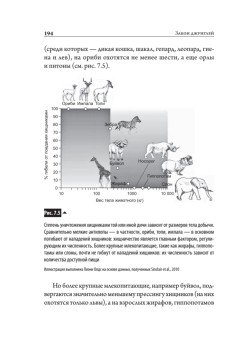 Закон "джунглей". В поисках формулы жизни