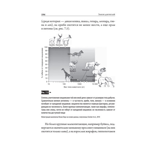 Закон "джунглей". В поисках формулы жизни