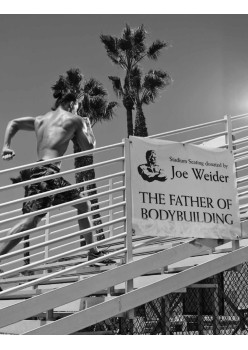 Эволюция. Как сломать ментальные стены и построить совершенное тело