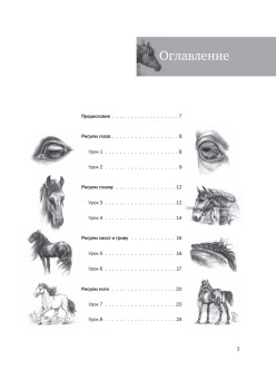 Пошаговые уроки рисования. Рисуем лошадей