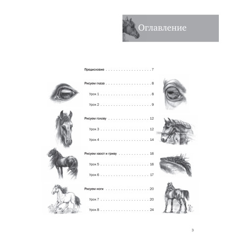 Пошаговые уроки рисования. Рисуем лошадей
